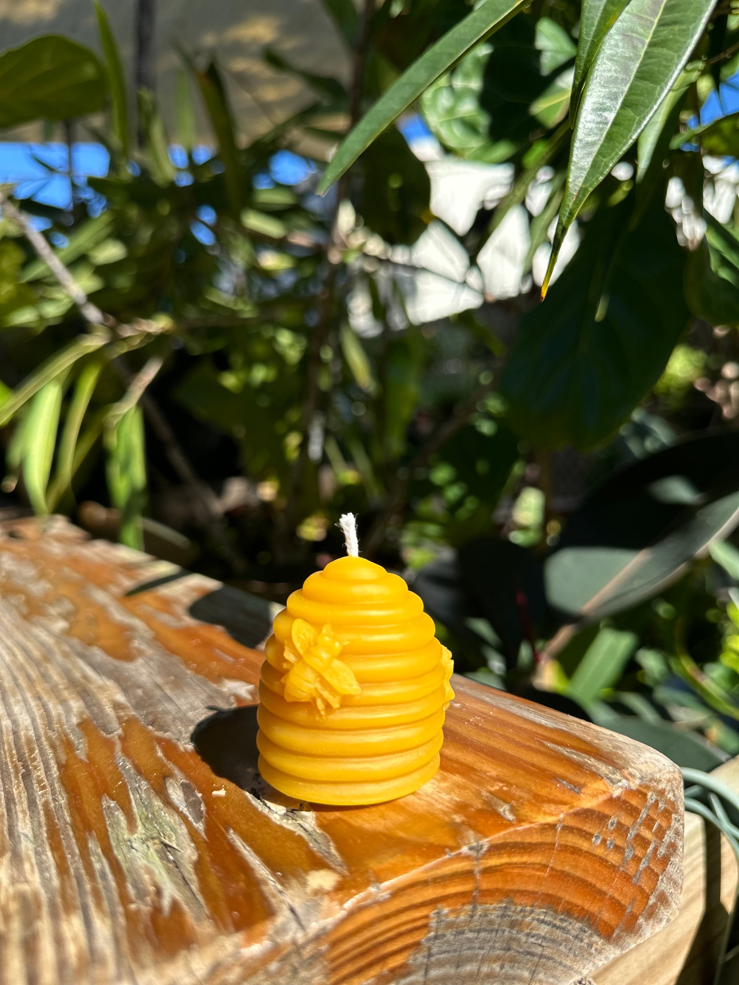 Yellow beehive attached to a wooden surface with green foliage in the background