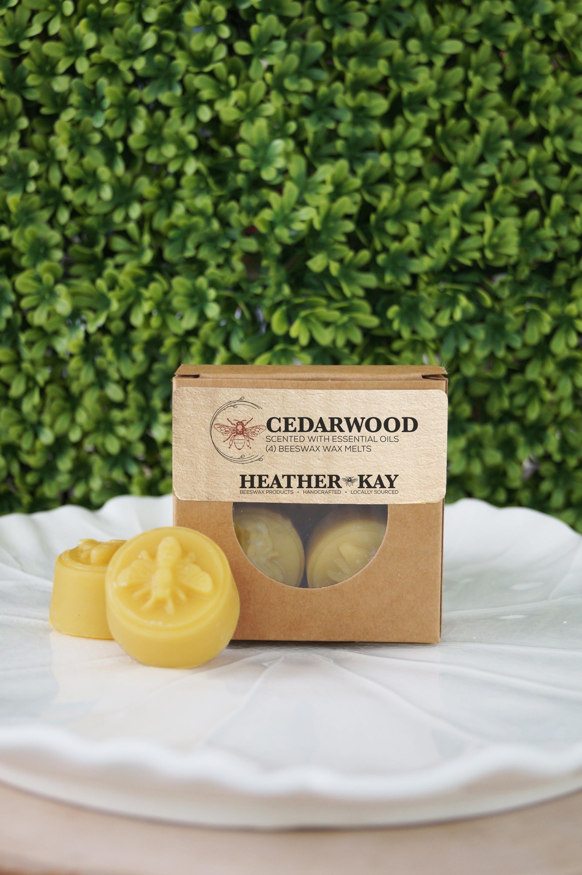 Box of handcrafted Cedarwood beeswax melts by Heather Kay Candles, with two yellow beeswax wax melts displayed on a white ceramic leaf dish in front of a green plant background.