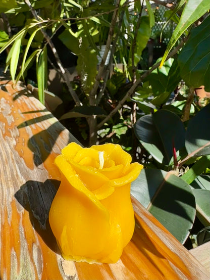 Yellow Rose Beeswax Candle