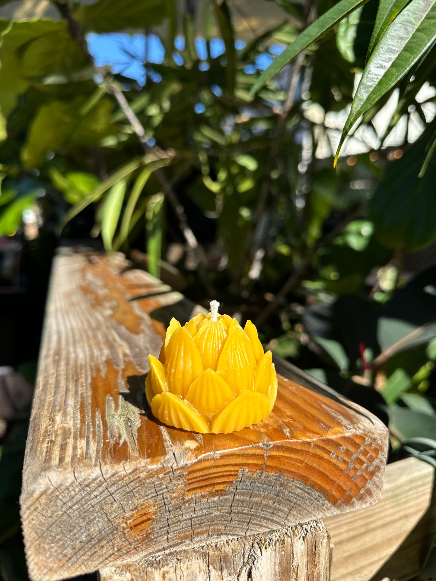 Lotus Flower Beeswax Candle