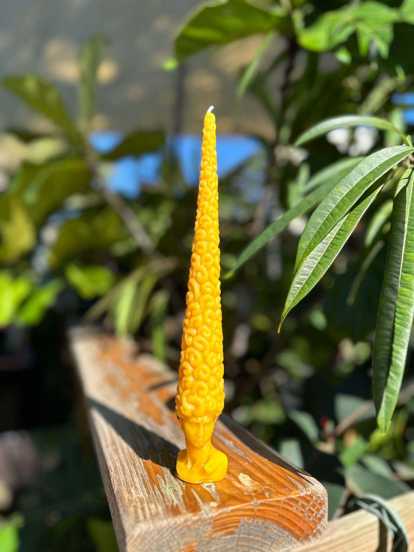 David's Hairstyle Beeswax Candle