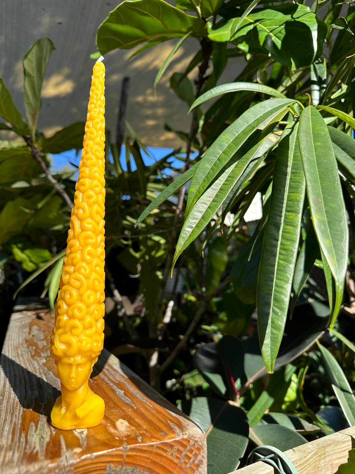 David's Hairstyle Beeswax Candle