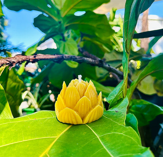 Lotus Flower Beeswax Candle