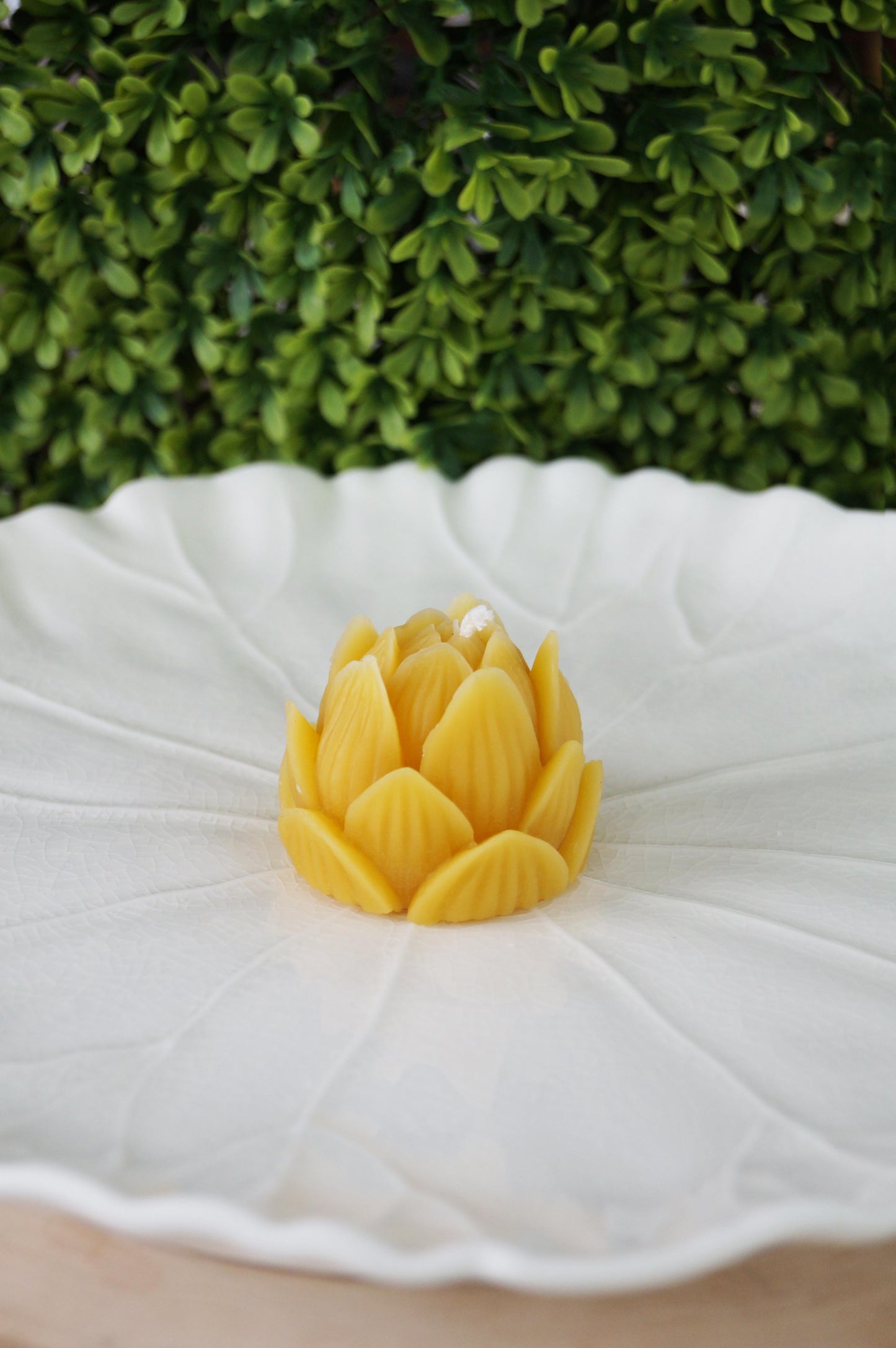 Lotus Flower Beeswax Candle with a cotton wick