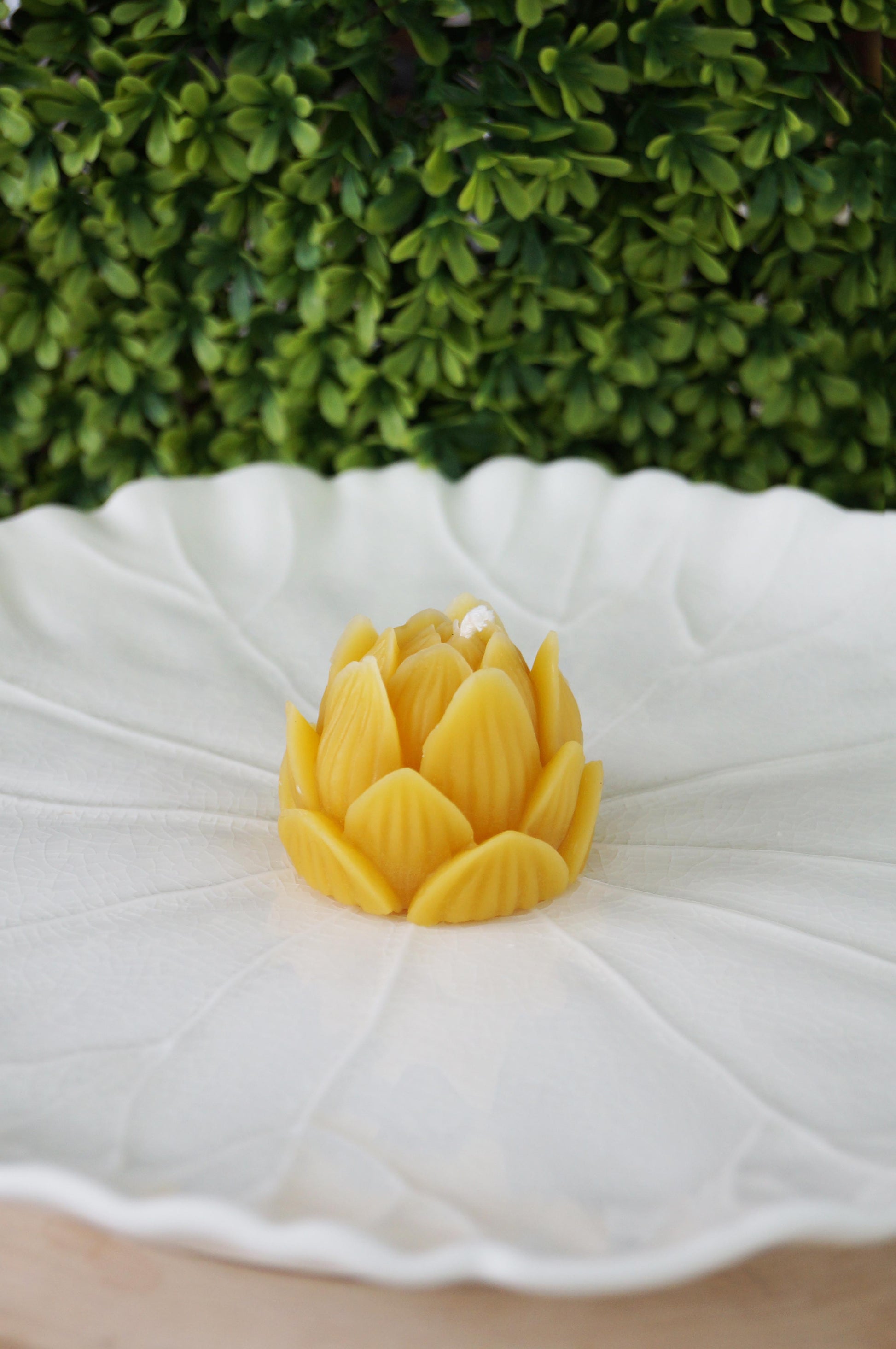 Lotus Flower Beeswax Candle with a cotton wick