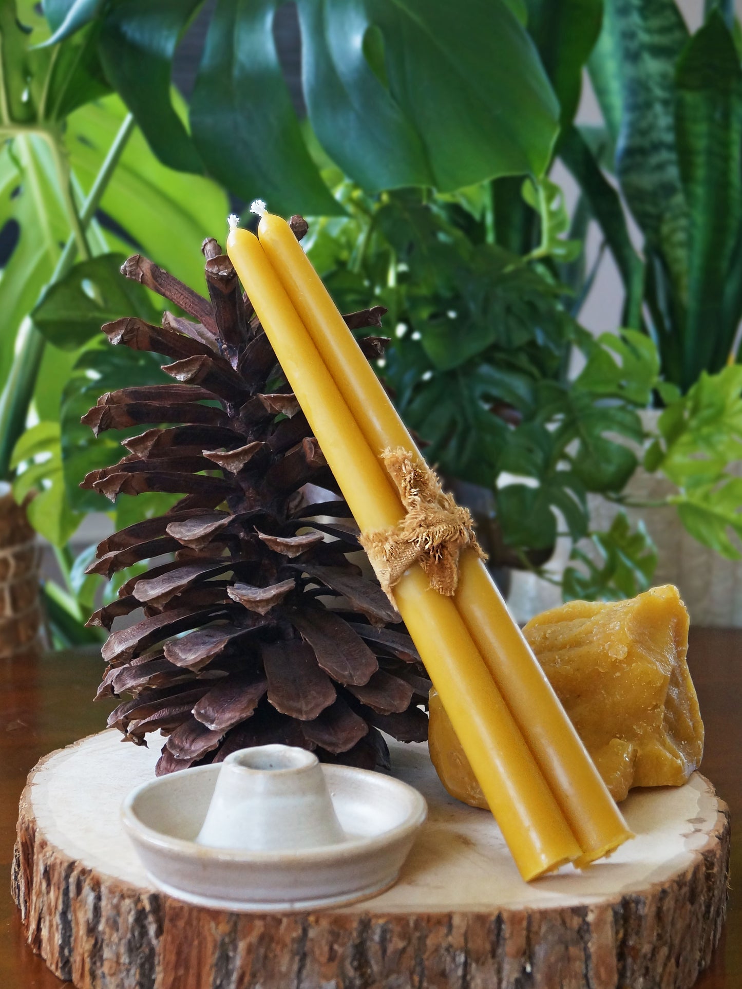 Beeswax Taper Candle Set